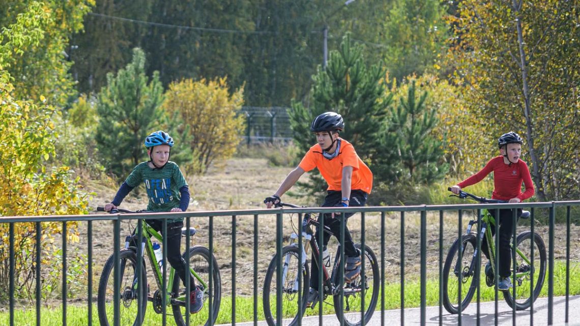 Three children riding bicycles on a sunny day along a park pathway, surrounded by greenery.